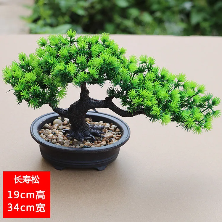 Haee85a923e03409a8619fe703e40e