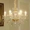 Gold-6 Ligths