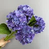 azul violeta