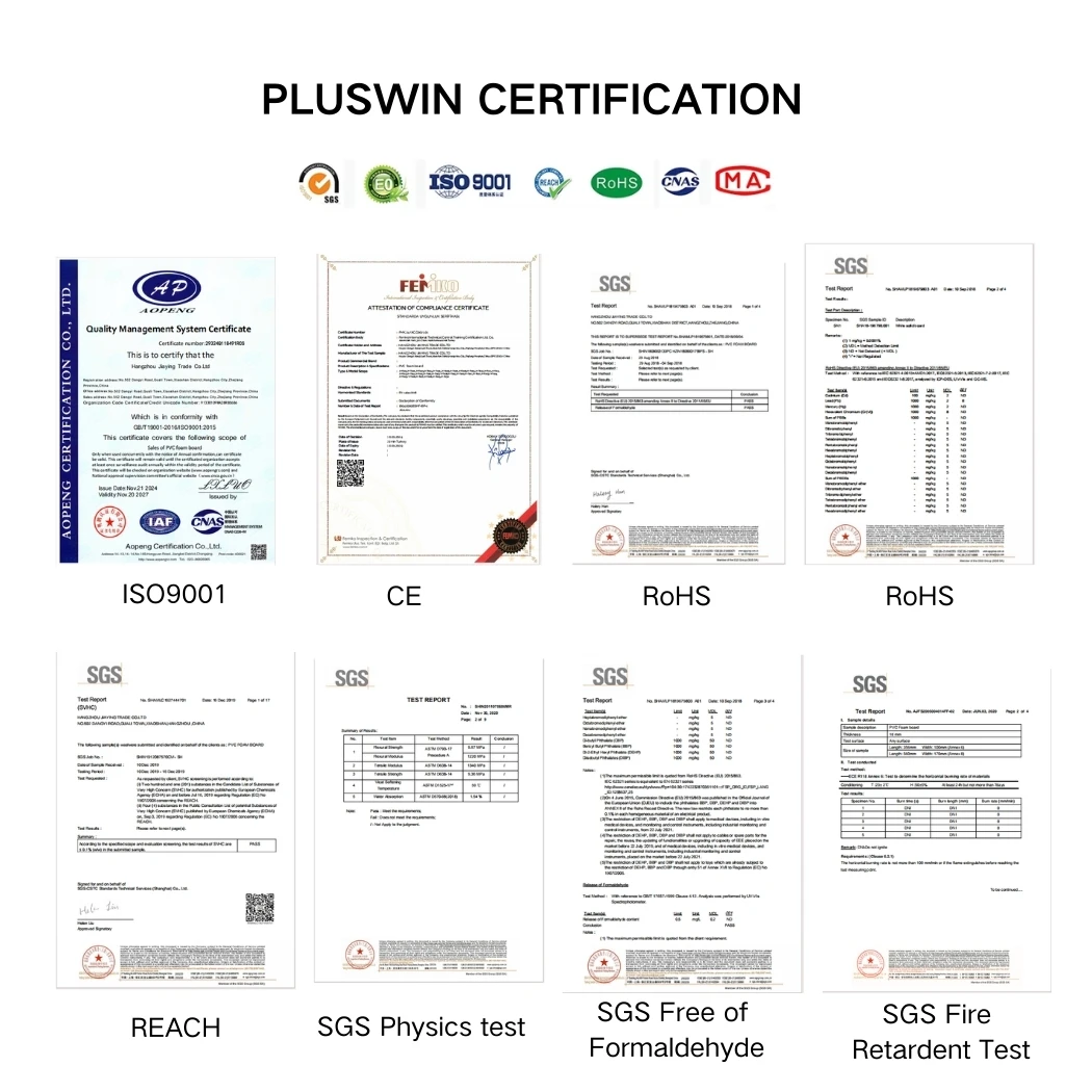 Company overview