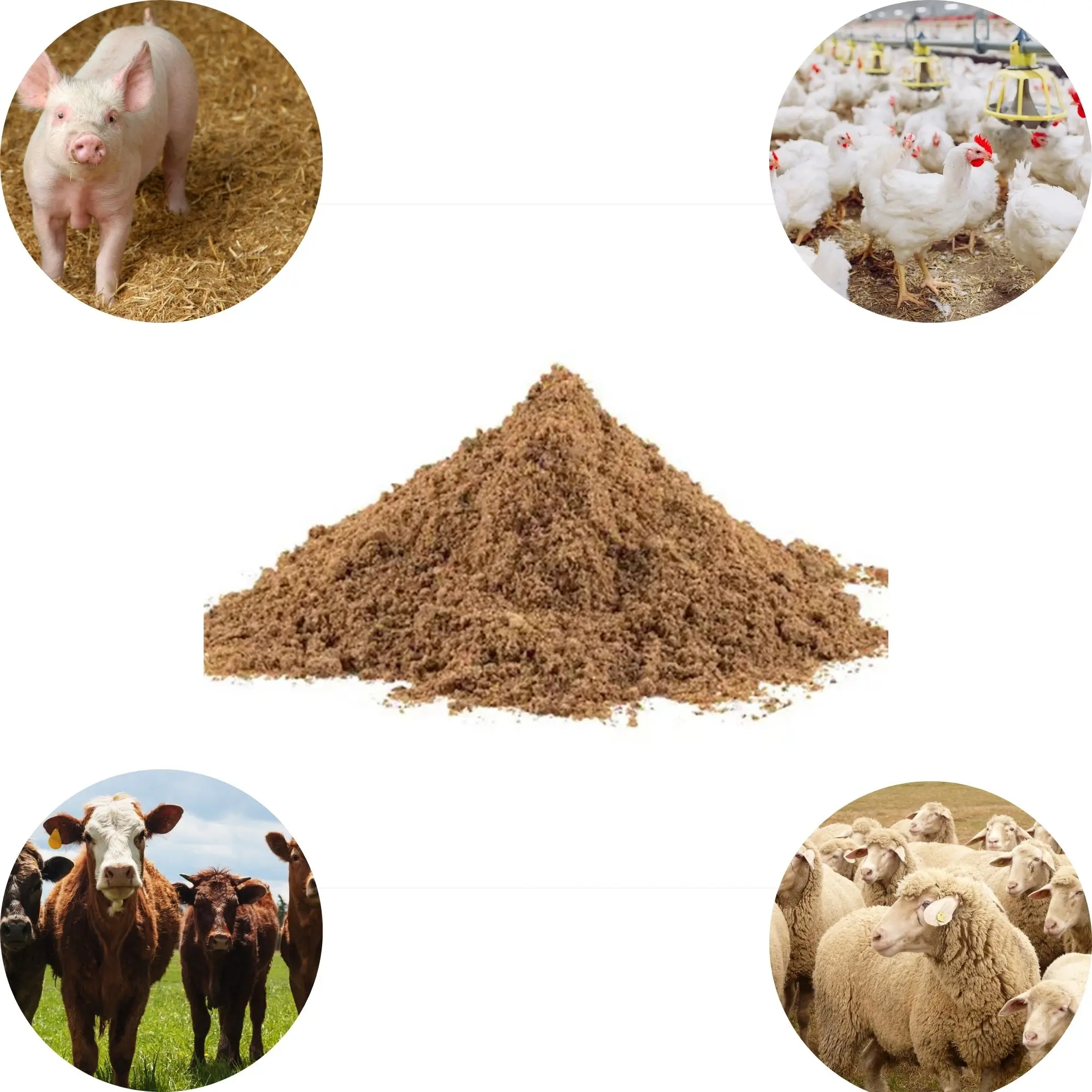 L-LYSINE SULPHATE 70% GOLDEN CORN BRAND