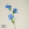 Lirio azul de dos pétalos