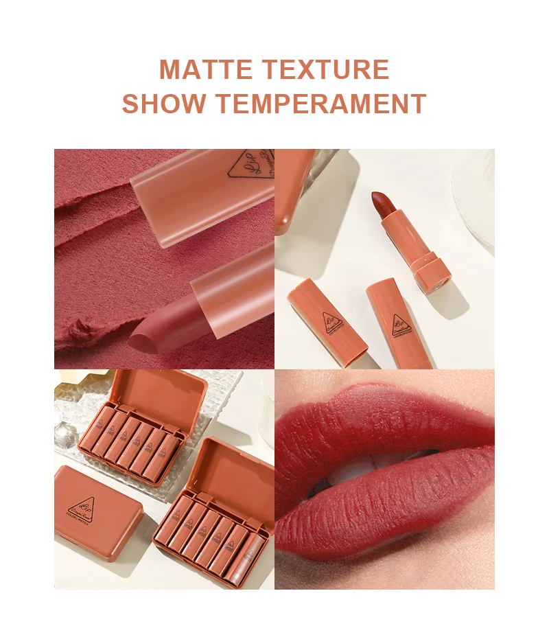 Dragonranee ODM Mini Cute Lipstick Sample Set 6 Vegan Nude Matte Lipsticks and Lip Gloss Lasting Pencil Form Box Packaging