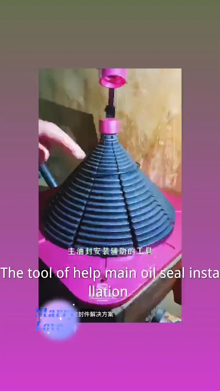 Hot Sale Hydraulic Cylinder Piston Rod Seal Tool Oil Seal Ptfe Expander