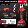 Pruning King [4.0AH Flagship] Two Electric 2 Cutter Head