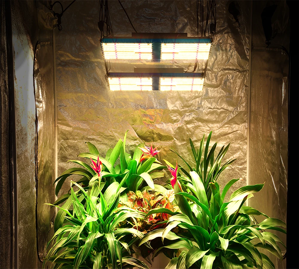 Sunraise LED Grow Lights - Efficient Battery Operated Solutions