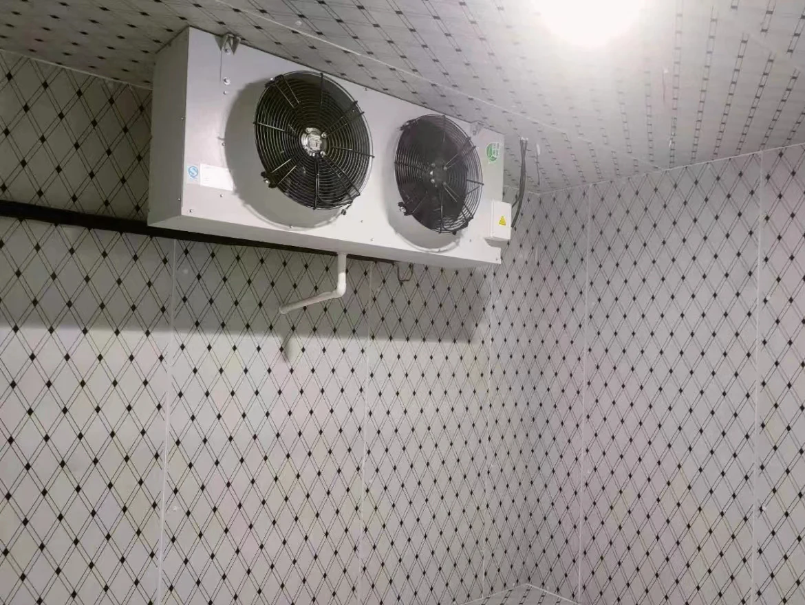 High Efficiency Customized Freezing Room Walk in Cooler Unit Meat Blast Freezer Cold Room for Keep Fresh Fruits Vegetables Fish