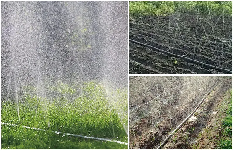 1 Hectare Set Kit Complet Lazer Spray Irrigation Tube 32mm Laser Rain Hose Irrigation System Haef6561abe524e938bd4f7ebfe46bc93y