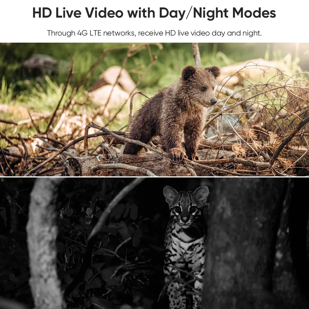 LS VISION Camouflage Hunting Trial 3MP IP PTZ Solar Powered Wireless 4G Sim Card Security CCTV Outdoor 4G Solar Camera