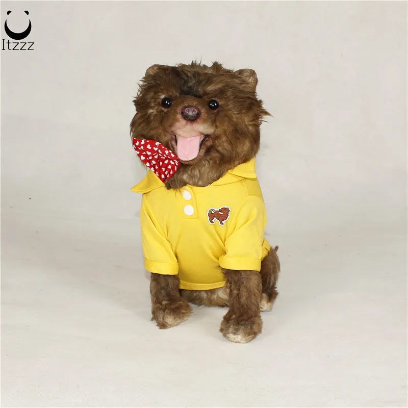cute small dog clothes