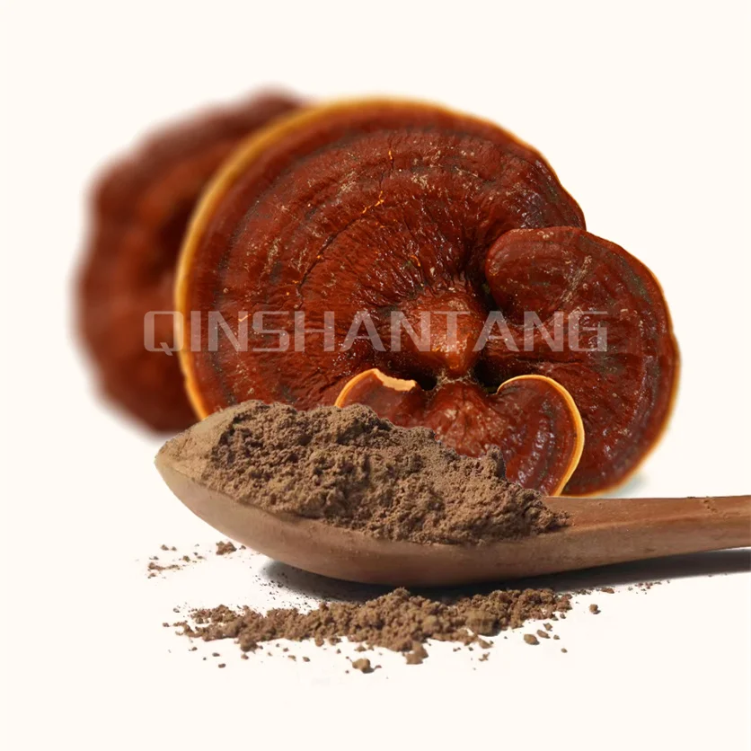 Qst-001 Chinese Lingzhi Supplement Mushroom Ganoderma Lucidum Extract ...