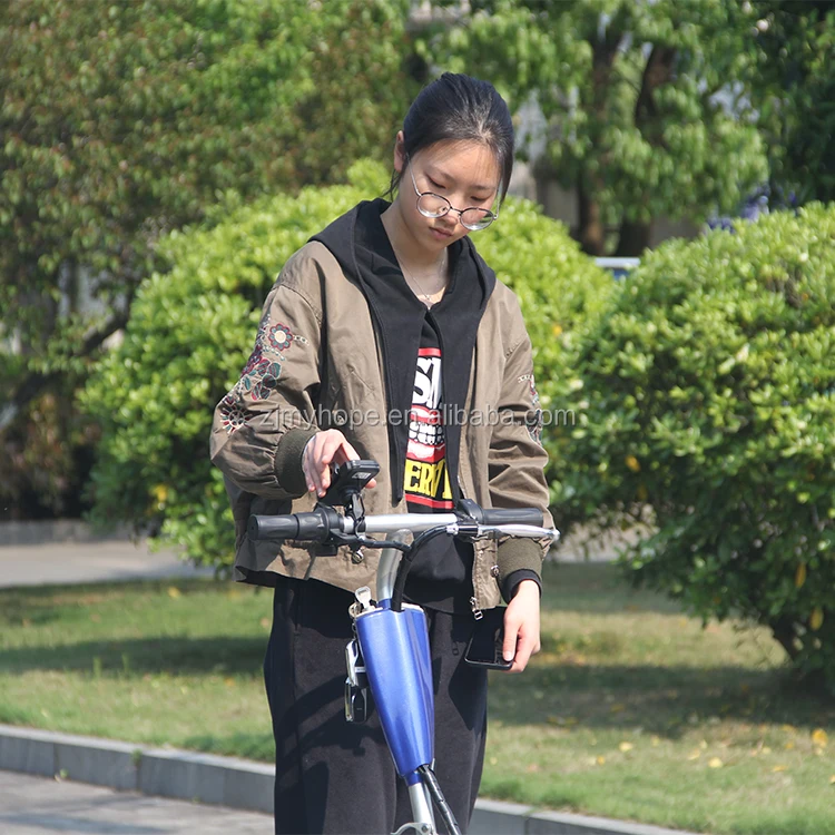 Zappy Three-Wheel Electric Scooter CE Certified 500W Motor Power with Removable Battery Mobility Scooter YXEB-712