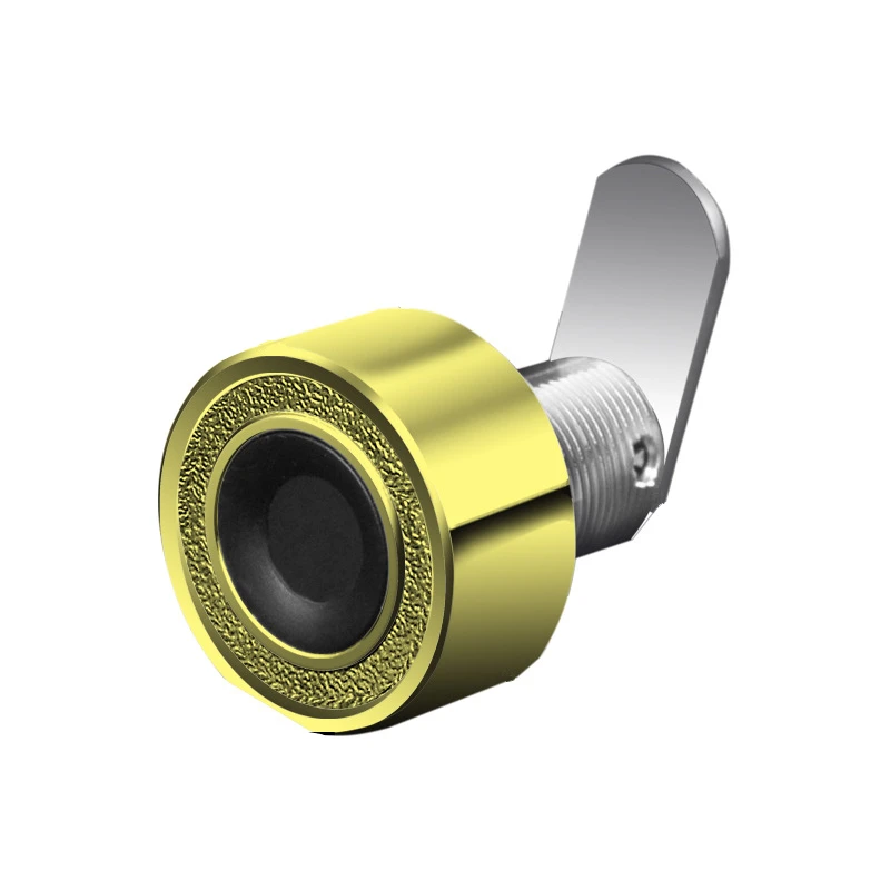 Small Size Fingerprint Cam Lock/fingerprint Drawer Lock/ Fingerprint Lock For Maillbox Buy