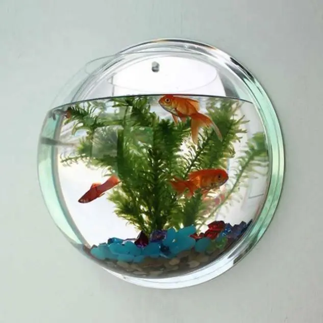 Wall Mounted Acrylic Fish Aquarium - Modern & Handmade