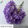 A bunch of 180 hydrangea petals, HJX, green core, purple.