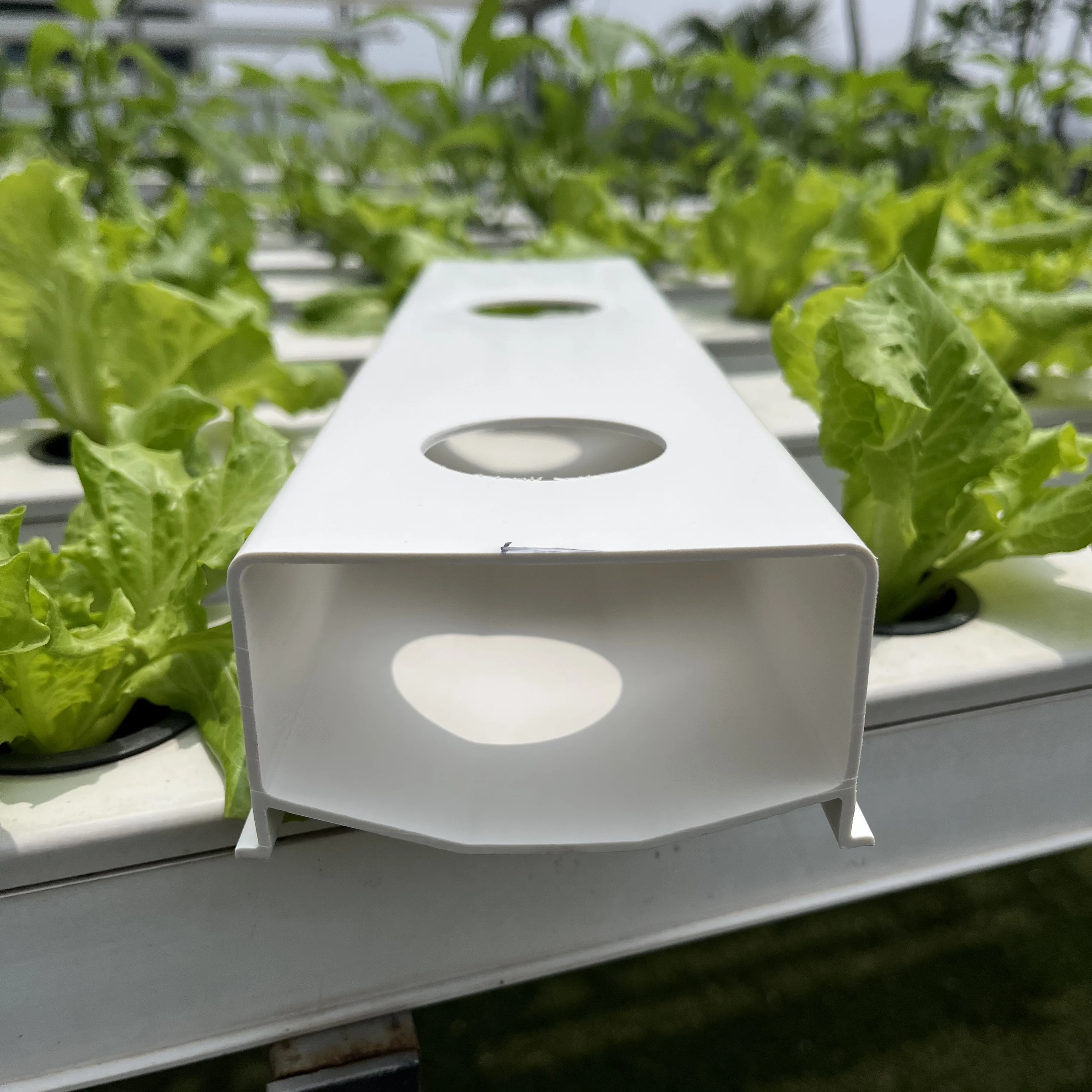 Unopen Lid Design Hydroponic NFT
