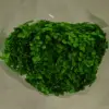 deep grass green