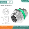 M8-A-6 hembra M10*0,75
