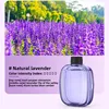 Lavender Essential Oil
