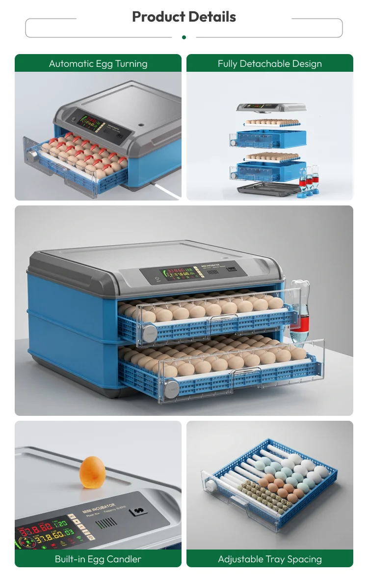Automatic Plastic Egg Incubator 24–500