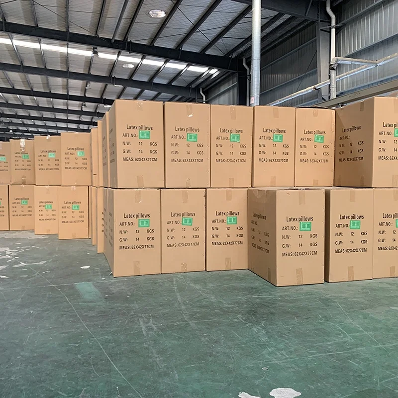 Anti Dust Contour Negative Ion Latex Foam Pillow