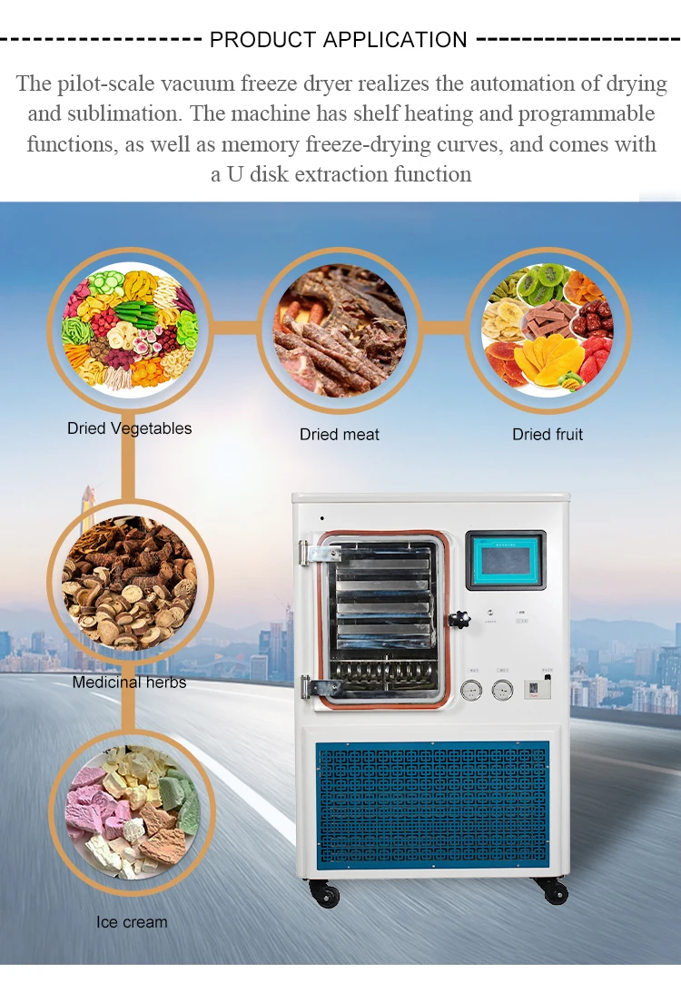 For Food Freeze Dryer Mini Machine