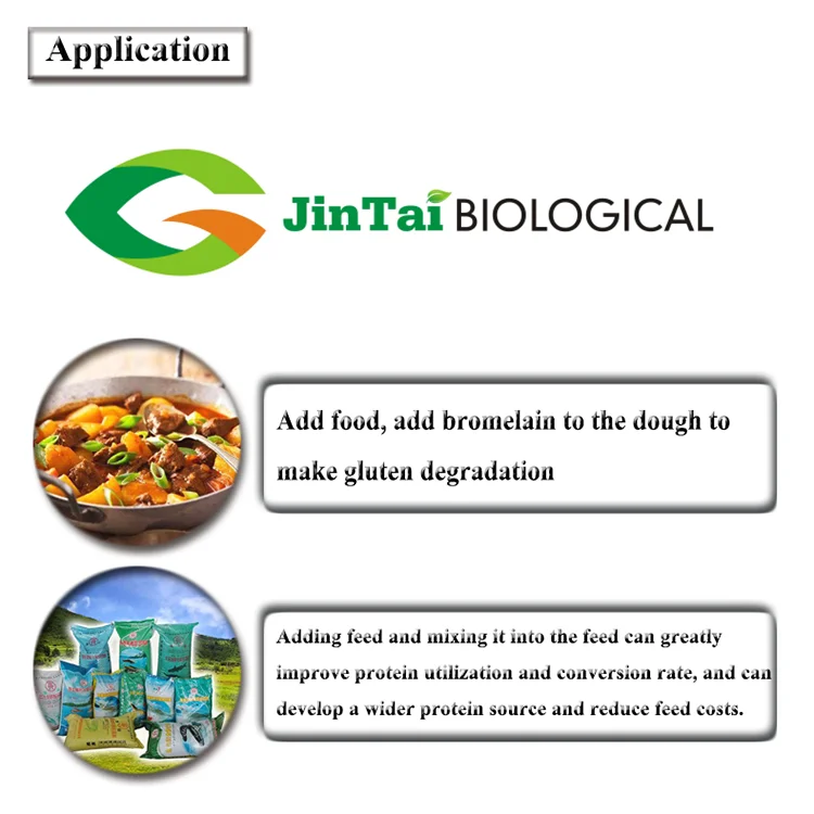 Bromelain From Pineapple Stem Medical Grade Bromelain Extract Powder