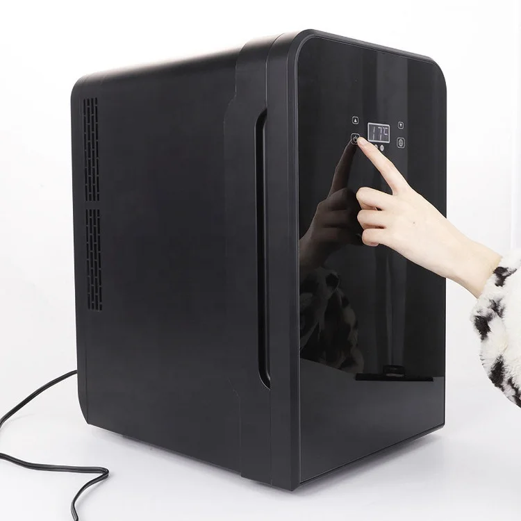 12V Mini Refrigerator Portable Car Fridge Water Cooler