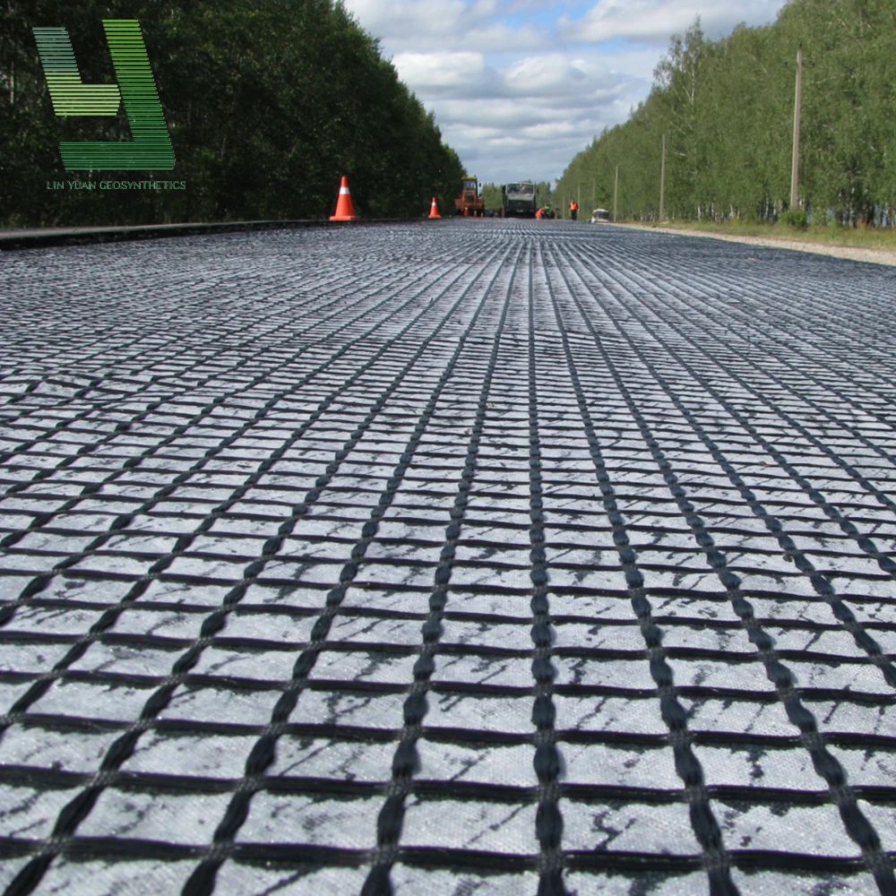 Soft Soil Reinforcement Polyester Geogrid Biaxial PET Geogrids in Bank Reinforcement Retaining Wall Geogid Price