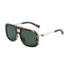 C5 Brun Tortue Or G15 Vert