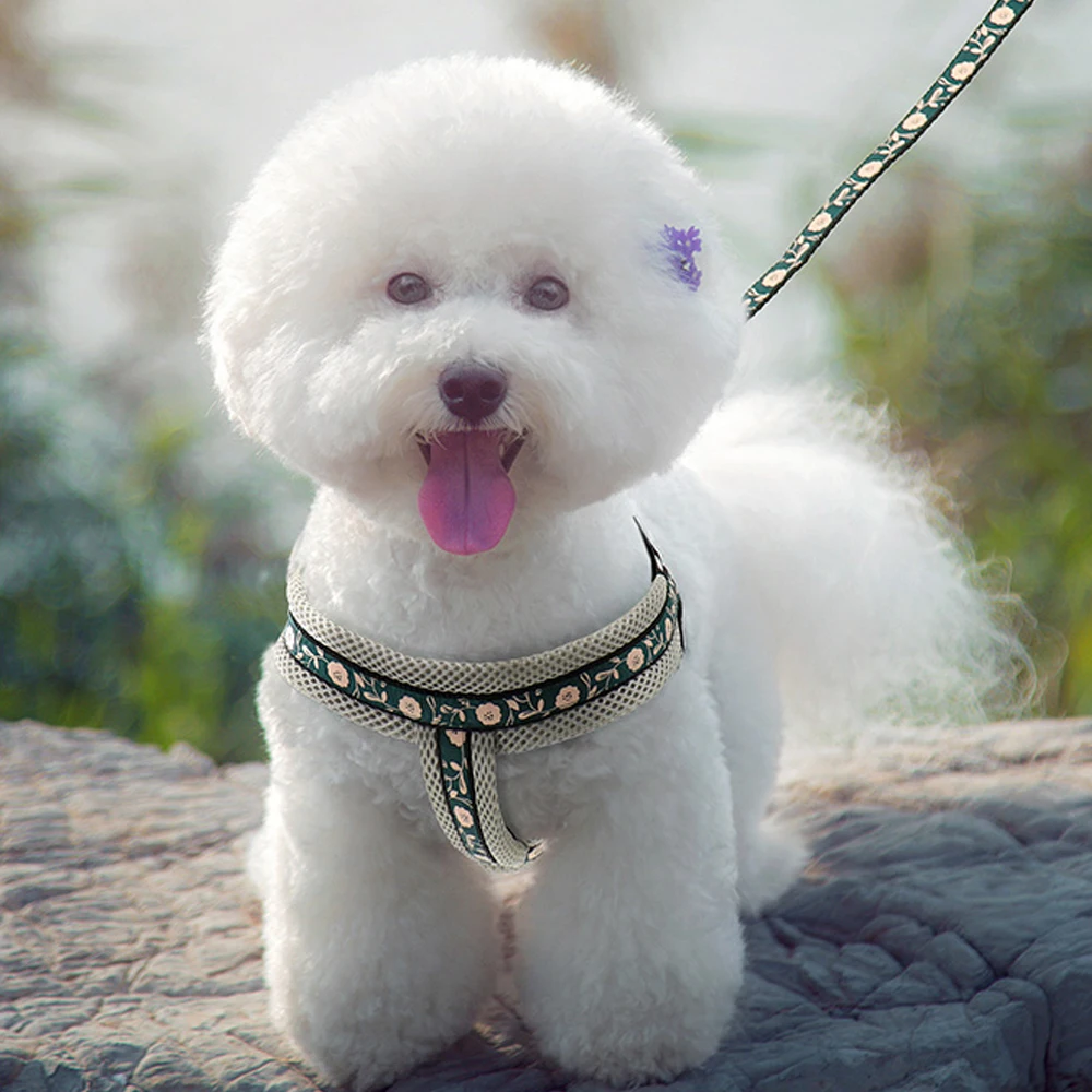 Step in Dog Harness Breathable Mesh Vest Harness Dog Training Walking With Leash for Your Puppy Extra Small Dog Harness