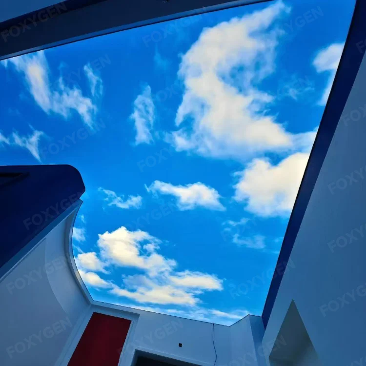 width up to 59 m uv printed pvc stretch ceiling film-17