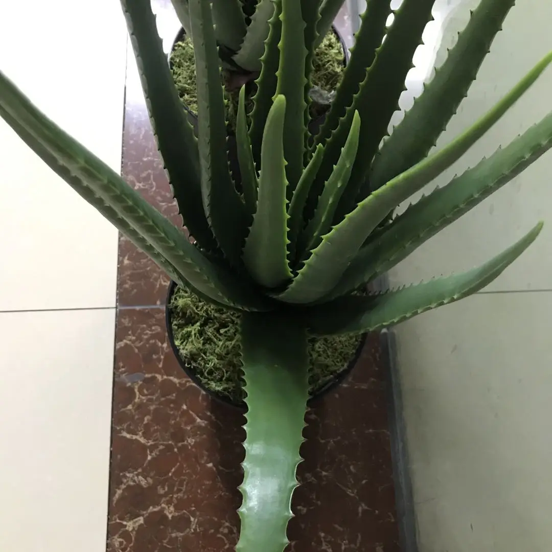 Aleo 56cm 17 Leaves Decoration Green Plant Simulation Plant Bonsai  Artificial Aleo Vera Plants