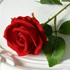 rosso brillante