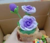 Rosa viola 2 #