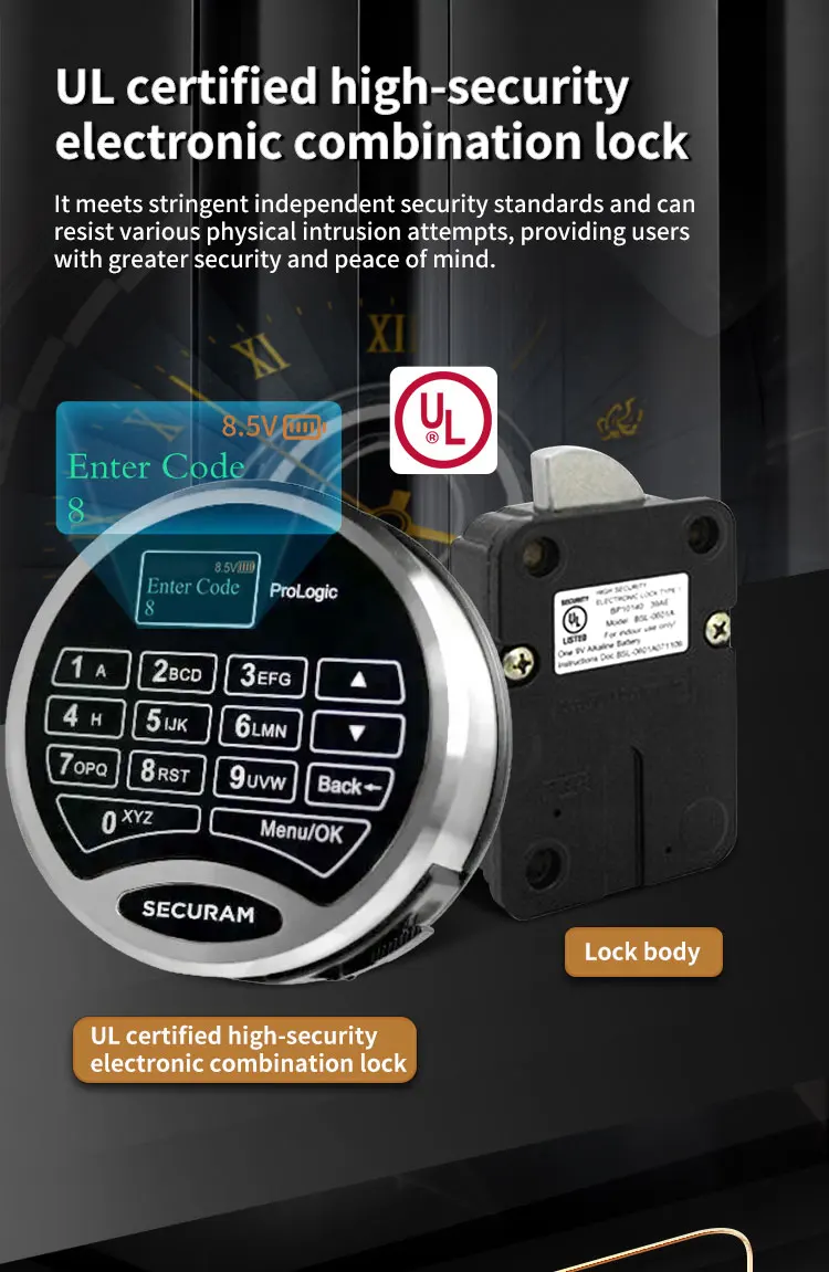 CEQSAFE Electronic Office Cash Security Cabinet Code Portable Hidden Safe Home Digital Fireproof Safe Box Chubb Safes details