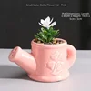 Maceta rosa con regadera pequeña.