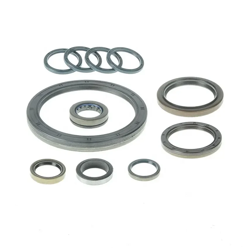 Seal Ring Kit 1315298002 Truck body parts for Transmission Gearbox