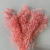 Pesca rosa