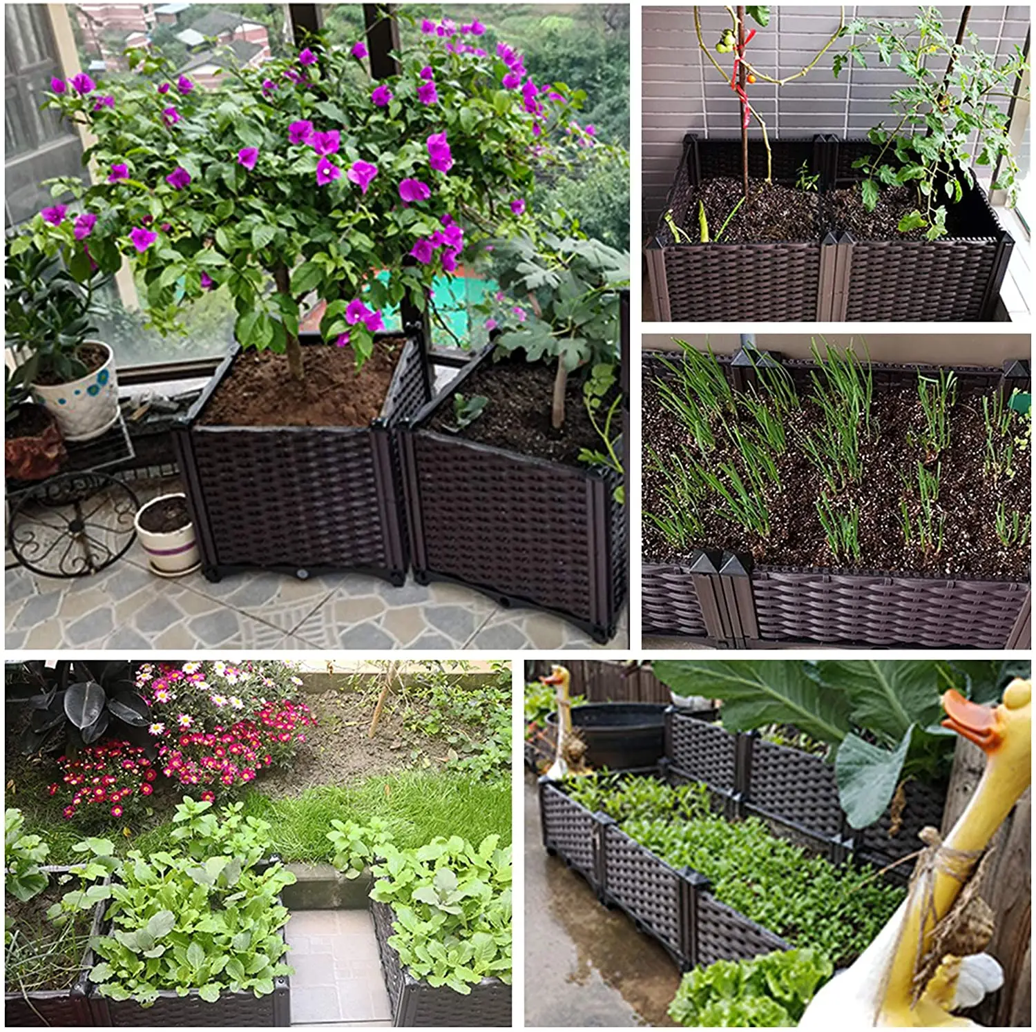 The Newest Rectangular Kit Vegetables Planting Container Raised Garden Bed for Vegetable Growing