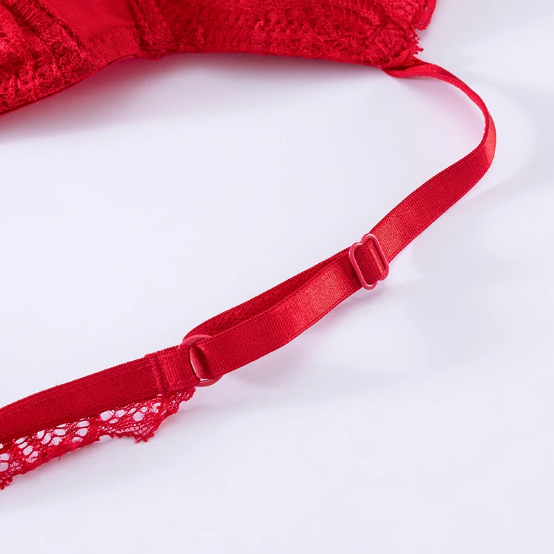 Oem/odm Holiday Galloon Lace Bra & Panties Set Push Up Bra And Mesh