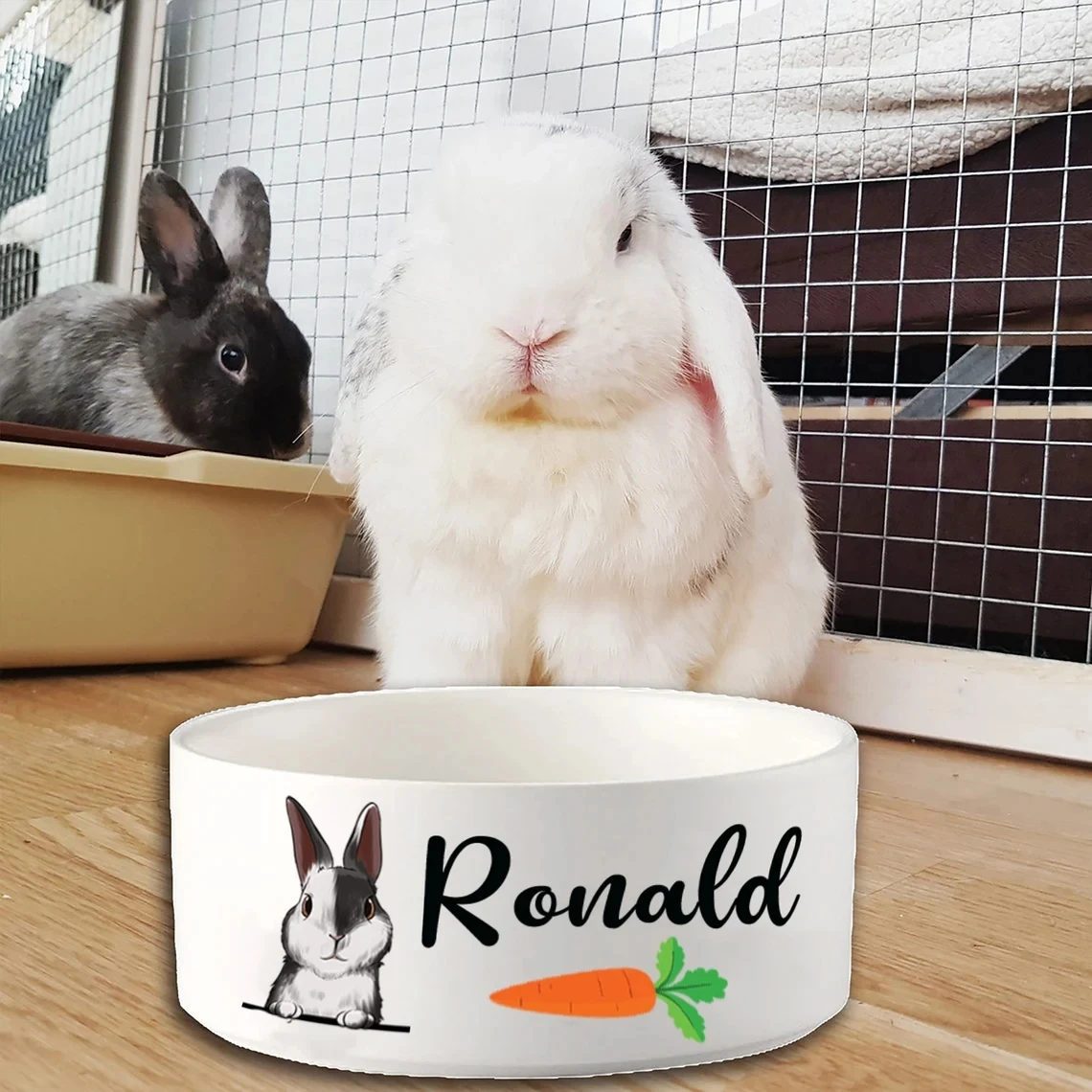 Pet Bowl Rabbit Feeding Bowls Stylish Ceramic Food And Water Bowl