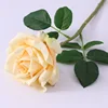 แชมเปญ