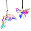Ensemble papillon dauphin