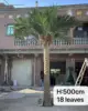 H:500CM 18 Leaves