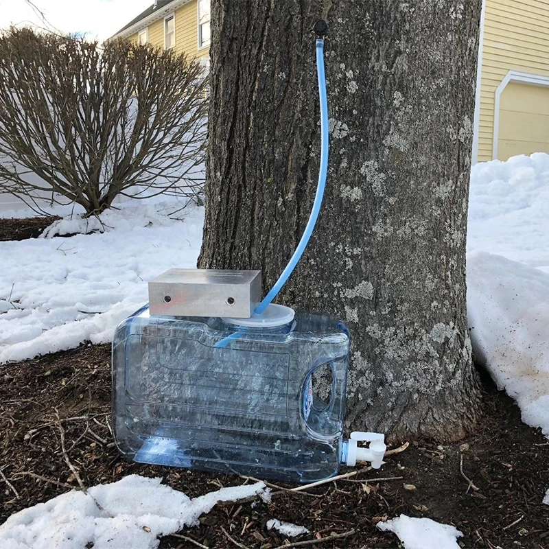 Dd1095 12pcs Sugaring Starter Dropper Tubing Collection Extractors For