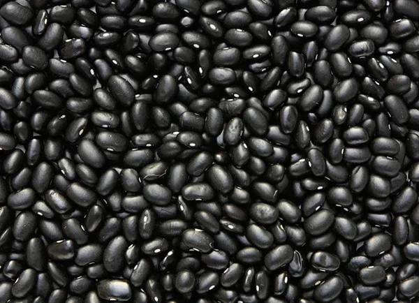 Black beans 05.jpg