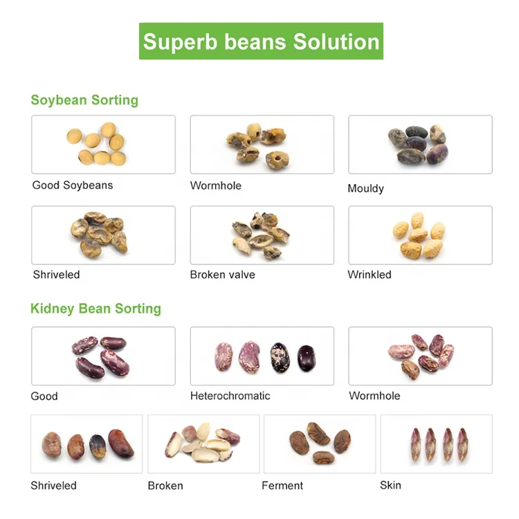 For Wesort Color Sorting Machine Efficient Shape Sorter for Green Coffee Beans Soya Peanuts Grain Plastic Bean Products