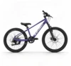 Viola