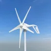 1000w 12v